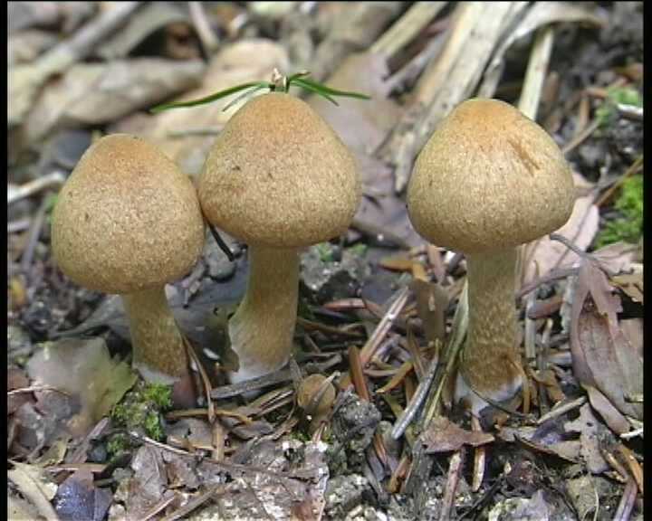 Winkel ( FRA ) 28.08.2004   2 Serie